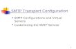 1 SMTP Transport Configuration SMTP Configurations and Virtual Servers Customizing the SMTP Service.