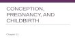 CONCEPTION, PREGNANCY, AND CHILDBIRTH Chapter 11.