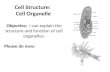 Cell Structure: Cell Organelle Objective: I can explain the structure and function of cell organelles. Please do now: