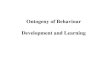 Ontogeny of Behaviour Development and Learning. Ontogeny of Behaviour Innate behaviour pattern.