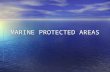 MARINE PROTECTED AREAS. What Are MPAs? – Marine Protected Areas (MPAs) are geographic areas designated to protect or conserve marine life and habitat.