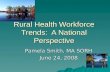 Rural Health Workforce Trends: A National Perspective Pamela Smith, MA SORH June 24, 2008.