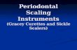 Periodontal Scaling Instruments (Gracey Curettes and Sickle Scalers)