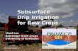 Subsurface Drip Irrigation for Row Crops Chad Lee Extension Grain Crops University of Kentucky.