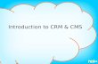 Introduction to CRM & CMS. What are these letters? Constituent Relationship Management Use CRM to track and contact your campaign’s supporters. Content.