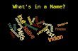 What’s in a Name?. What are the appropriate terms to use when referring to Aboriginal Peoples in Canada? (Adapted from the National Aboriginal Health.