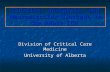 Sedation, Analgesia, and Neuromuscular Blockade in the Adult ICU Division of Critical Care Medicine University of Alberta.