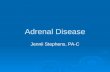 Adrenal Disease Jennii Stephens, PA-C. Diseases of the Adrenal Gland  Anatomy and Physiology  Decreased adrenal function Cortex Cortex Addisons DiseaseAddisons.