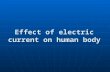 Effect of electric current on human body. What is electric current?