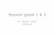 Thyroid gland 1 & 2 Dr Heyam Awad FRCPath. Thyroid gland.