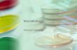 Microbiology Clinical Pathology. Microbiology The study of microscopic organisms Clinical microbiology is the identification of these organisms that cause.