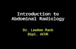 Introduction to Abdominal Radiology Dr. LeeAnn Pack Dipl. ACVR.