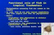 Functional role of fish in tropical freshwaters Phytoplankton consuming fish are common in the tropicsPhytoplankton consuming fish are common in the tropics.