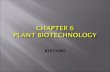 BTEC3301. Plant biotechnology is a process to produce a genetically modified plant by removing genetic information from an organism, manipulating it in.