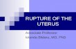 RUPTURE OF THE UTERUS Associate Professor Iolanda Blidaru, MD, PhD.
