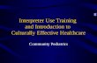 Interpreter Use Training and Introduction to Culturally Effective Healthcare Community Pediatrics.