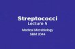 Streptococci Lecture 5 Medical Microbiology SBM 2044.