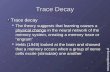 Trace Decay Trace decay The theory suggests that learning causes a physical change in the neural network of the memory system, creating a memory trace.