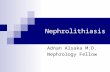Nephrolithiasis Adnan Alsaka M.D. Nephrology Fellow.