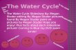 The Water Cycle Slideshow By: Megan Studer editing By Megan Studer pictures found By Megan Studer paint on pictures by Megan Studer Hope you enjoy!