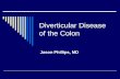 Diverticular Disease of the Colon Jason Phillips, MD.