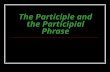 The Participle and the Participial Phrase What is a Participle? 1. Looks like a verb – a “verby” looking word 2. Ends in –ing or –ed (some irregularly.