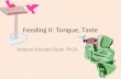 Feeding II: Tongue, Taste JodyLee Estrada Duek, Ph.D.