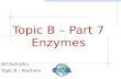 Topic B – Part 7 Enzymes IB Chemistry Topic B – Biochem.