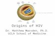 Origins of HIV Dr. Matthew Marsden, Ph.D. UCLA School of Medicine