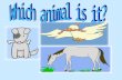 May and Peter are playing a guessing game. Listen to what they say. Guess which animal they are talking about. Click on the correct picture. 1 Listen.
