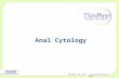 Hologic Proprietary © 2012ADS-00735 Rev. 001 Anal Cytology.