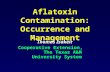 Aflatoxin Contamination: Occurrence and Management Thomas Isakeit Cooperative Extension, The Texas A&M University System.
