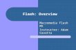 Flash: Overview Macromedia Flash MX Instructor: Adam Cavotta.