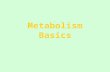 Metabolism Basics. Two faces of metabolism Catabolism - degradation Anabolism - biosynthesis.