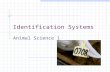 Identification Systems Animal Science 1. Competency 11.0 Differentiate identification systems used in the animal industry.