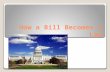 How a Bill Becomes a Law. Thousands of bills are introduced each session ◦6,562 were introduced in the 111 th Congress ◦Bills can only be introduced by.