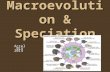 Macroevolution & Speciation Accel Bio 2014. What is a species? Species means “kind” or “type” Older way of looking at this question: Morphological Species.