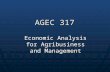 AGEC 317 Economic Analysis for Agribusiness and Management.