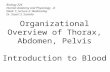 Biology 224 Human Anatomy and Physiology - II Week 1; Lecture 2; Wednesday Dr. Stuart S. Sumida Organizational Overview of Thorax, Abdomen, Pelvis Introduction.