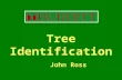 Tree Identification John Ross. Tree Identification ISA Certified Arborist Study guide for the Arborist Certification exam of the International Society.