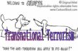 Overview What is transnational terrorism? –Is terrorism a new phenomenon? Significance of September 11 attacks –What is Al-Qaeda? –Why is Al-Qaeda significant?