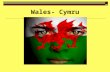 Wales- Cymru. Welsh ‘radicalism’  Especially in the 19 th century, but its influence pervaded the political life of 20 th century Wales.  Inicially,