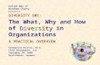 DIVERSITY 101: Diversity A PRACTICAL OVERVIEW DIVERSITY 101: The What, Why and How of Diversity in Organizations A PRACTICAL OVERVIEW Evangelina Holvino,