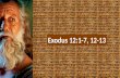 The Hebrew Scriptures The Law (Torah) Genesis Exodus Leviticus Numbers Deuteronomy The Prophets (Nevi’im) A.Former Prophets 1.Joshua 2.Judges 3.Samuel.