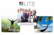 FOR SOCIAL BUSINESSES. ABOUT THE LITS PROGRAM [ WHAT DO WE PROVIDE TO SOCIAL BUSINESSES ]