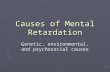 1 Causes of Mental Retardation Genetic, environmental, and psychosocial causes.