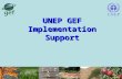 UNEP GEF Implementation Support. UNEP’s Role in GEF The only Implementing Agency of the GEF whose core business is the environment; Supports strategic.