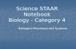 Science STAAR Notebook Biology - Category 4 Biological Processes and Systems.