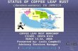 STATUS OF COFFEE LEAF RUST (Hemileia vastatrix) IN JAMAICA COFFEE LEAF RUST WORKSHOP CICAFE, COSTA RICA MARCH 13-14, 2008 Presented by: Louis Campbell.