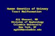Human Genetics of Urinary Tract Malformation Ali Gharavi, MD Division of Nephrology Columbia University New York, NY ag2239@columbia.edu.
